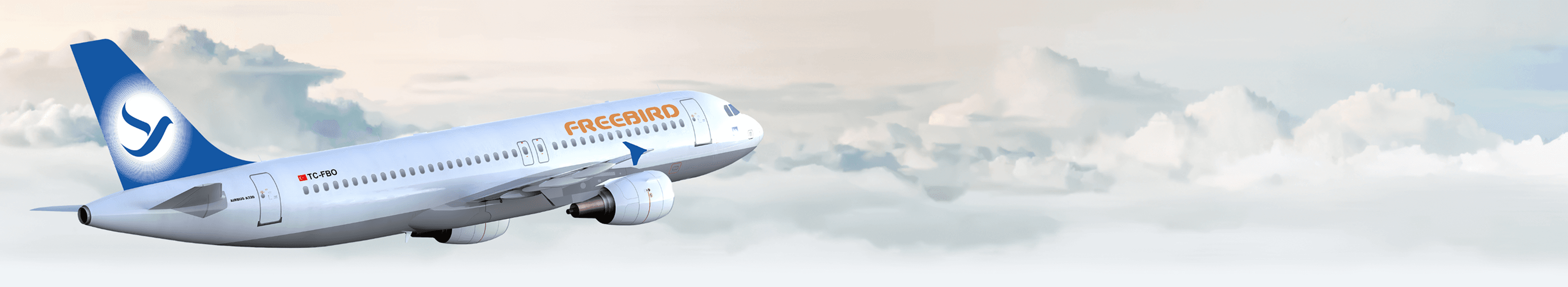 Kayıp, Hasarlı ve Geç Teslim Edilen Bagaj