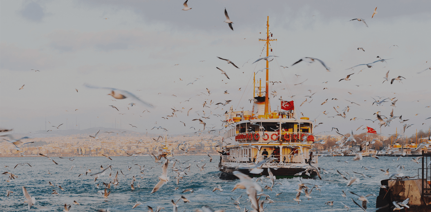 freebird travel freebird travel
